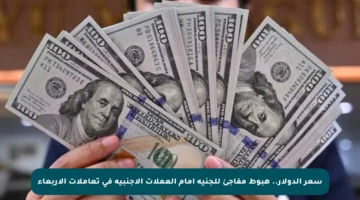 سعر الدولار.. هبوط مفاجئ للجنيه أمام العملات الأجنبية في تعاملات الأربعاء